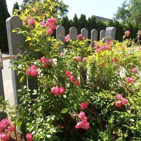 Großes, Einzeln Stehendes Undine, Ruhige Lage, Terrasse, Parkplatz, Fahrradhäuschen Abschließbar, Nähe Zur Altstadt Und 600 M Zum Müritz - Ferienhaus *